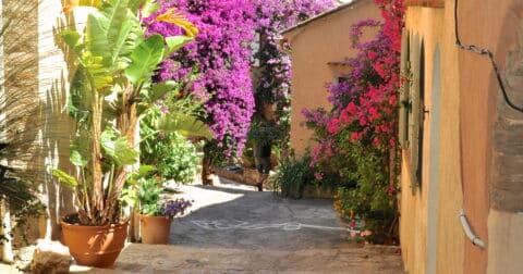 Photo de la rue Rompi Cuou au village de Bormes les Mimosas