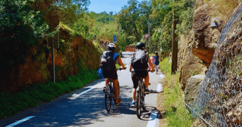 Photo de personnes faisant du vélo sur la piste cyclable