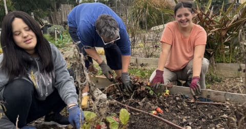 Photo de l'association D méli mélo aux jardins familiaux